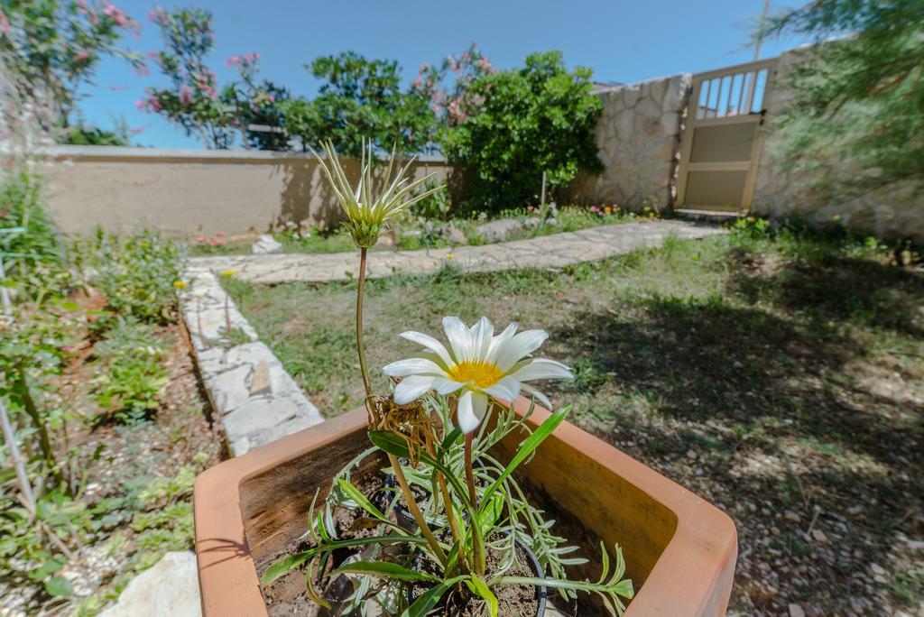 Paula Apartments Vir Luaran gambar